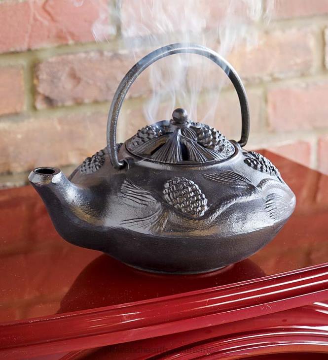 Accessories Plow & Hearth Cast Iron Wood Stove Kettle Steamer with Pine Cone Design - Black NFLB2840