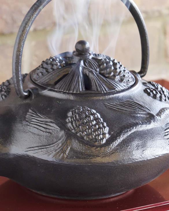 Accessories Plow & Hearth Cast Iron Wood Stove Kettle Steamer with Pine Cone Design - Black NFLB2840