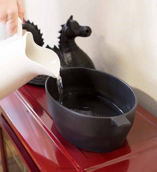 Accessories Plow & Hearth Dragon Woodstove Steamer in Cast Iron - Black NFLB2837