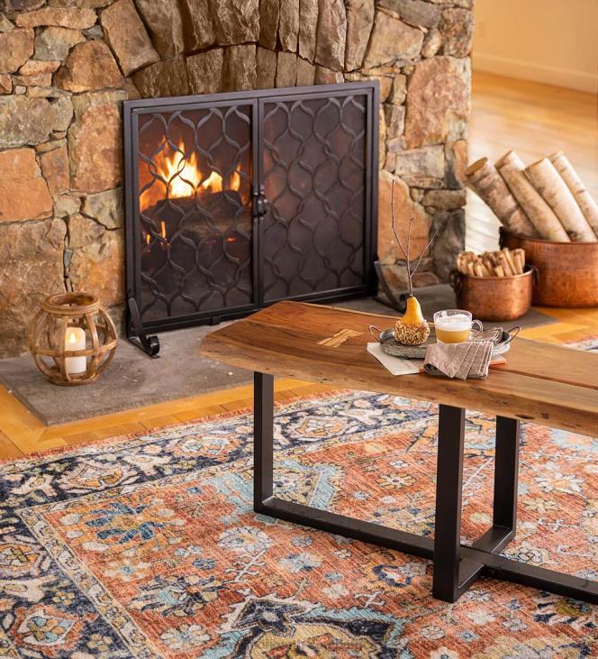Fireplace Plow & Hearth Astoria Two-Door Fireplace Screen, Small - Black NFLB3137