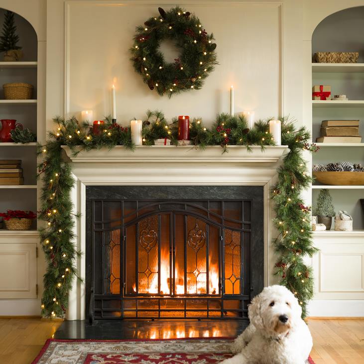 Fireplace Plow & Hearth Two-Door Fireplace Screen with Glass Floral Panels NFLB2876