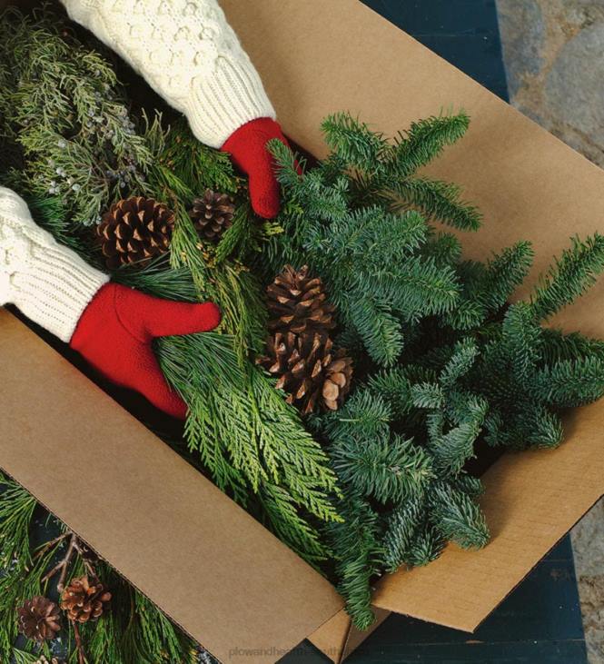 Houseware Plow & Hearth Holiday Woodland Evergreens 7 Lb. Box Of Greens NFLB1478
