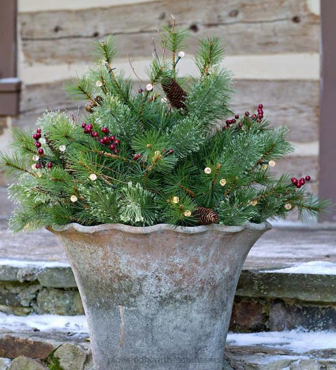 Houseware Plow & Hearth Indoor/Outdoor Blue Ridge Garland with Battery-Operated Dual-Function Lights NFLB1484