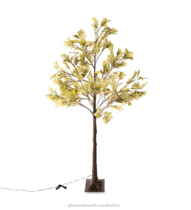 Houseware Plow & Hearth Indoor/Outdoor Electric Lighted Moss Oak Trees NFLB1587
