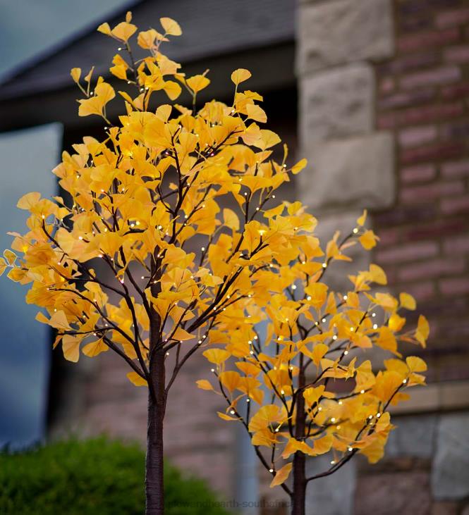 Houseware Plow & Hearth Indoor/Outdoor Electric Lighted Yellow Gingko Trees NFLB1580