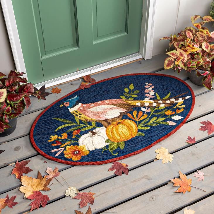 Houseware Plow & Hearth Indoor/Outdoor Fall Pheasant Hand Hooked Polypropylene Accent Rug NFLB1523