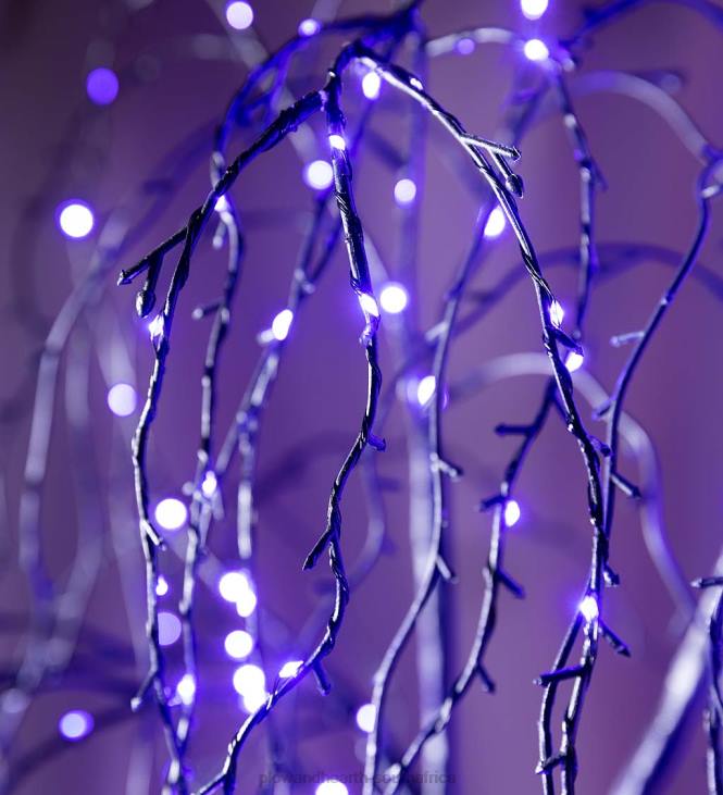 Houseware Plow & Hearth Indoor/Outdoor Halloween Electric Lighted Black Weeping Willow Tree with Purple LEDs NFLB1530