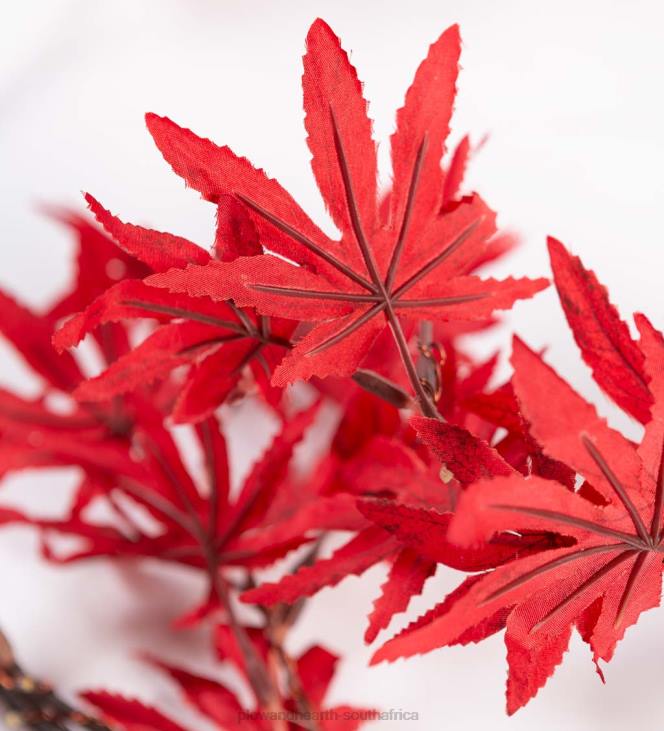 Houseware Plow & Hearth Indoor/Outdoor Lighted Japanese Maple Leaf Garland with 70 Lights NFLB1546