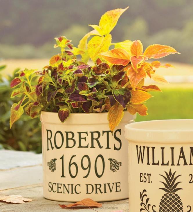 Houseware Plow & Hearth Pine Cone-Styled Personalized Crock - Navy NFLB1560