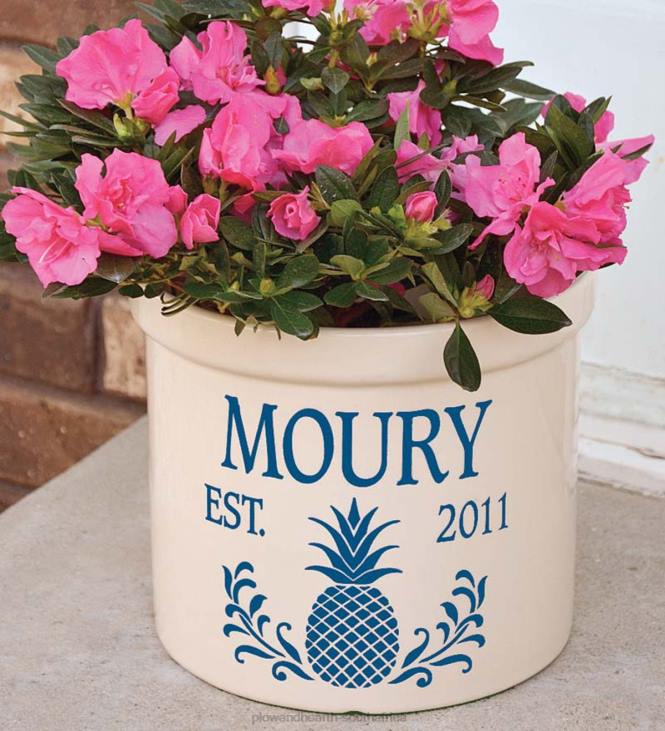 Houseware Plow & Hearth Pineapple Personalized Crock With Name And Year - Green NFLB1533