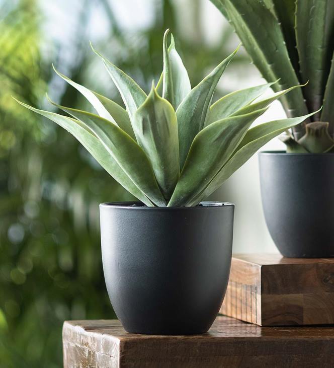 Houseware Plow & Hearth Small Faux Real Agave Plant NFLB1565