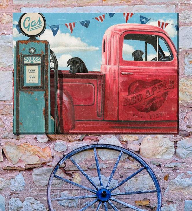 Houseware Plow & Hearth Take A Ride Indoor/Outdoor Canvas Wall Art NFLB1539