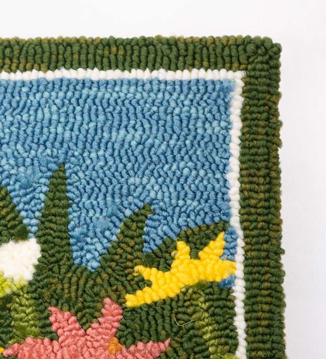 Houseware Plow & Hearth Indoor/Outdoor Daisy Walk Hooked Polypropylene Accent Rug NFLB1346