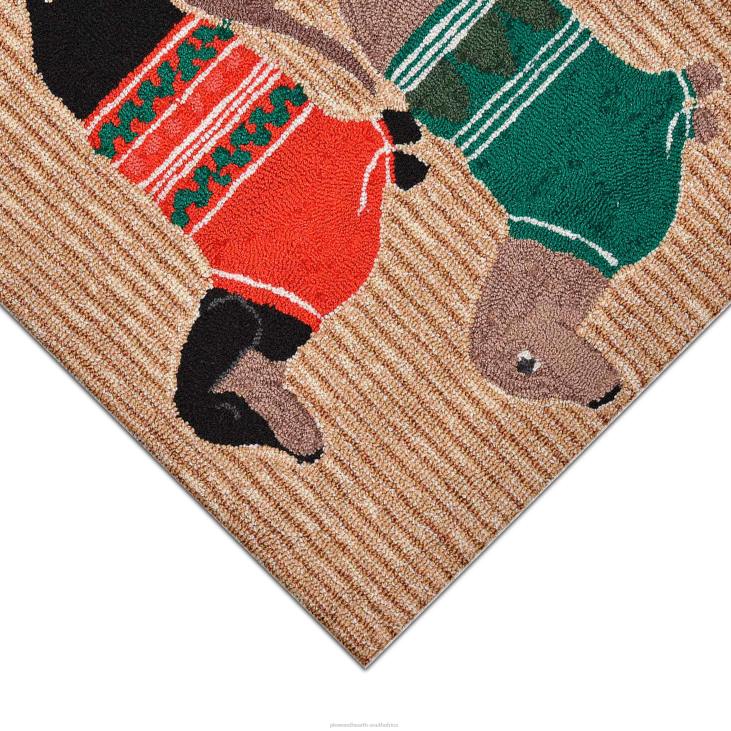 Houseware Plow & Hearth Indoor/Outdoor Hand-Hooked Holiday Sweater Dogs Accent Rug NFLB1336