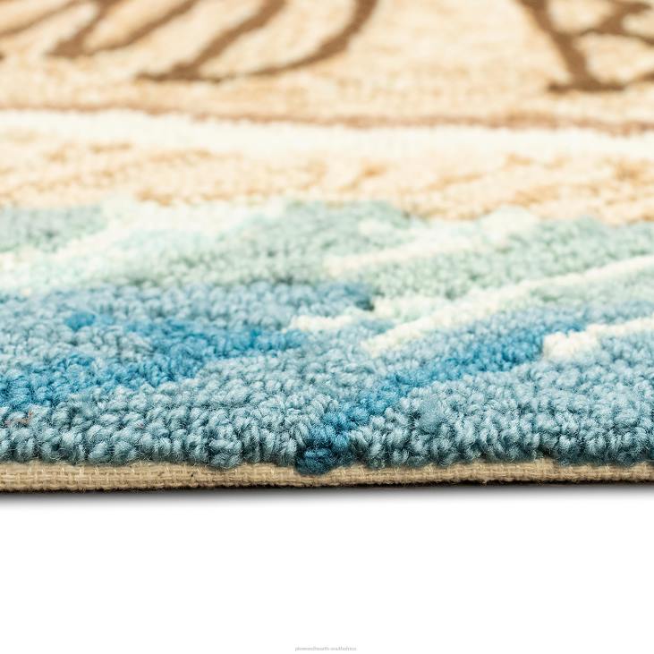 Houseware Plow & Hearth Indoor/Outdoor Hand-Hooked Sandy and Bright Accent Rug NFLB1314