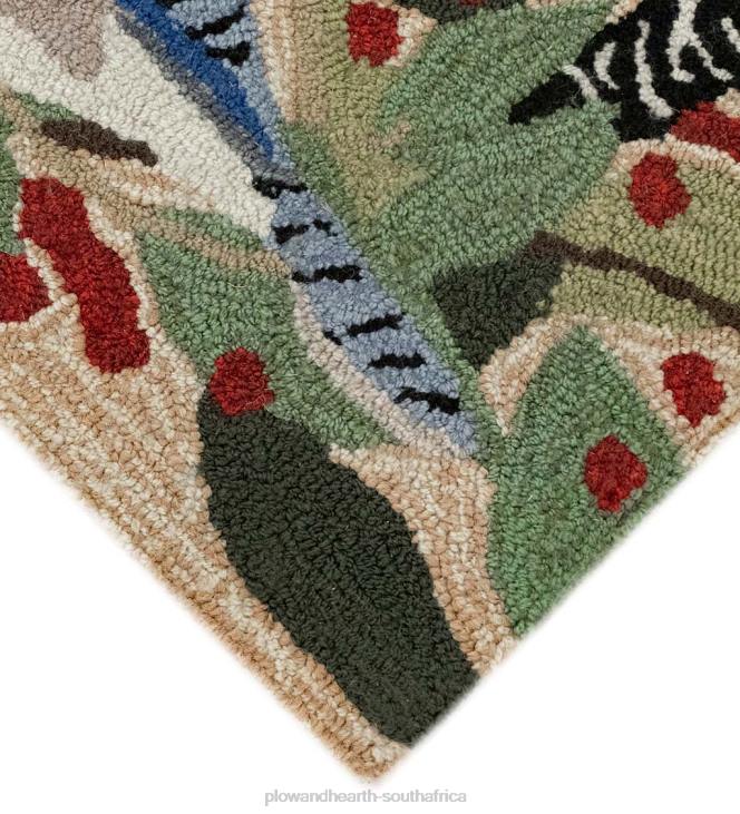 Houseware Plow & Hearth Indoor/Outdoor Synthetic Blend Birds Border Rug NFLB1390