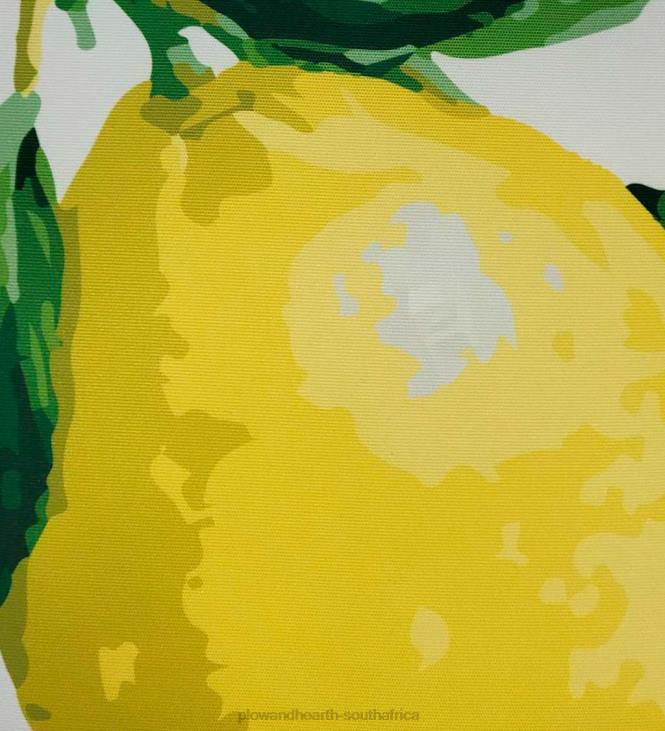 Houseware Plow & Hearth New York Botanical Garden Lemon Throw Pillow NFLB1262