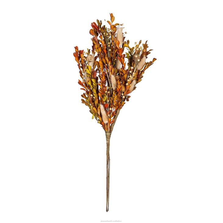 Houseware Plow & Hearth Bunny Tail Grass Branch NFLB2372