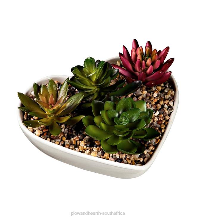 Houseware Plow & Hearth Ceramic Heart-Shaped Succulent Table Decor NFLB2417