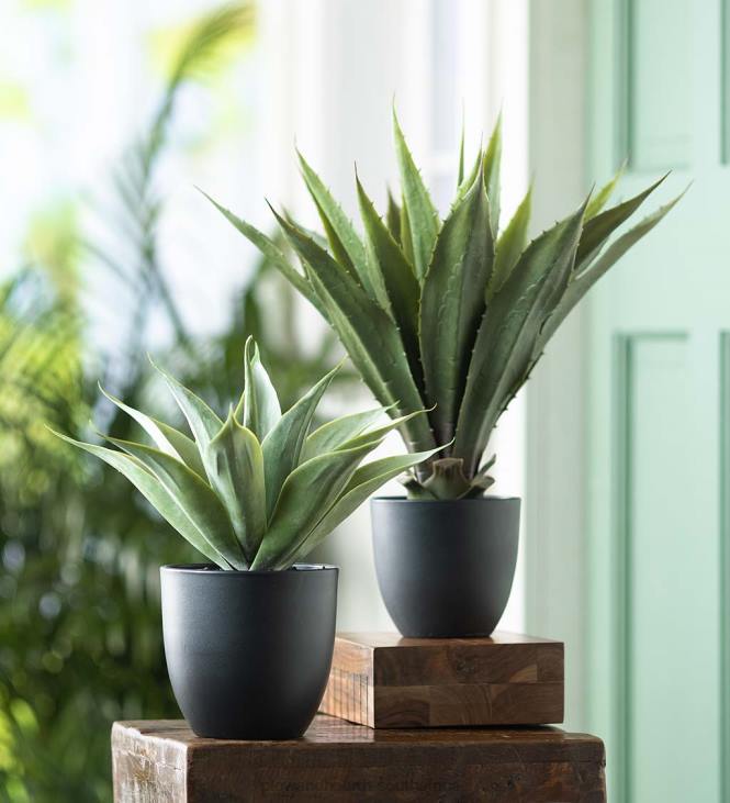Houseware Plow & Hearth Faux Real Agave Artificial Potted Plant NFLB2399