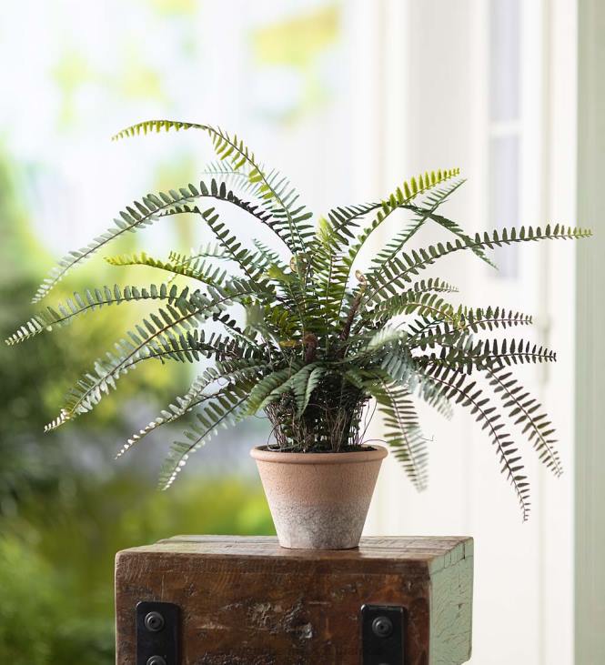 Houseware Plow & Hearth Faux Real Fern Artificial Potted Plant NFLB2432
