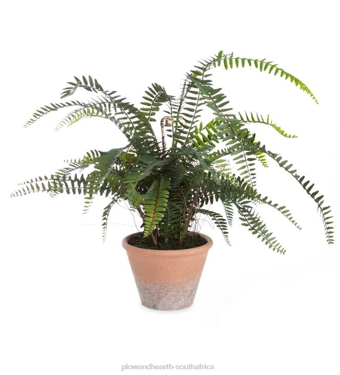 Houseware Plow & Hearth Faux Real Fern Artificial Potted Plant NFLB2432