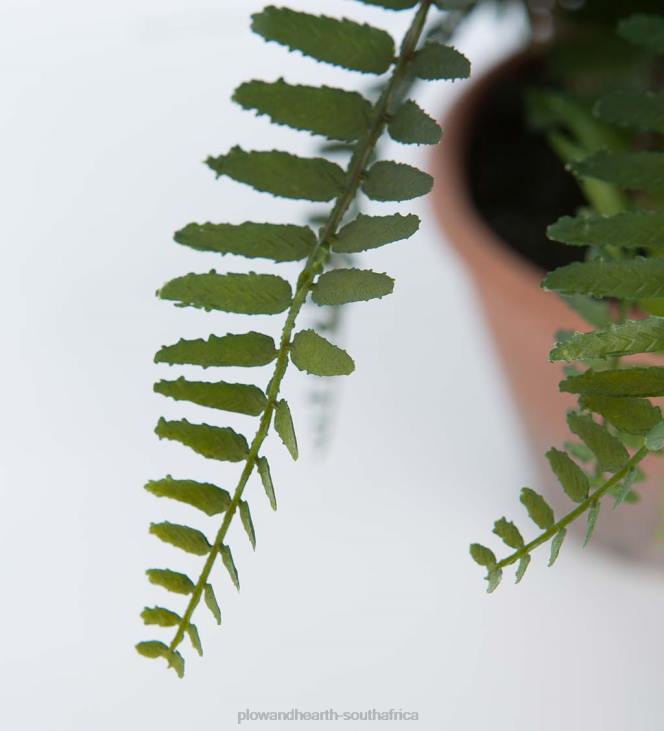 Houseware Plow & Hearth Faux Real Fern Artificial Potted Plant NFLB2432