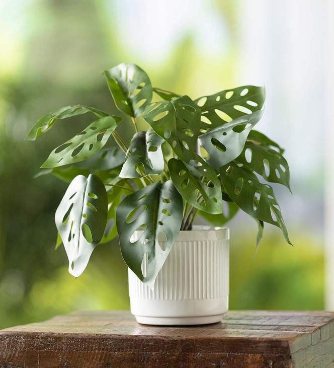 Houseware Plow & Hearth Faux Real Monstera Artificial Potted Plant NFLB2404