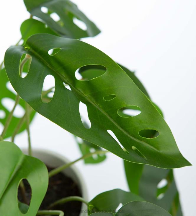 Houseware Plow & Hearth Faux Real Monstera Artificial Potted Plant NFLB2404