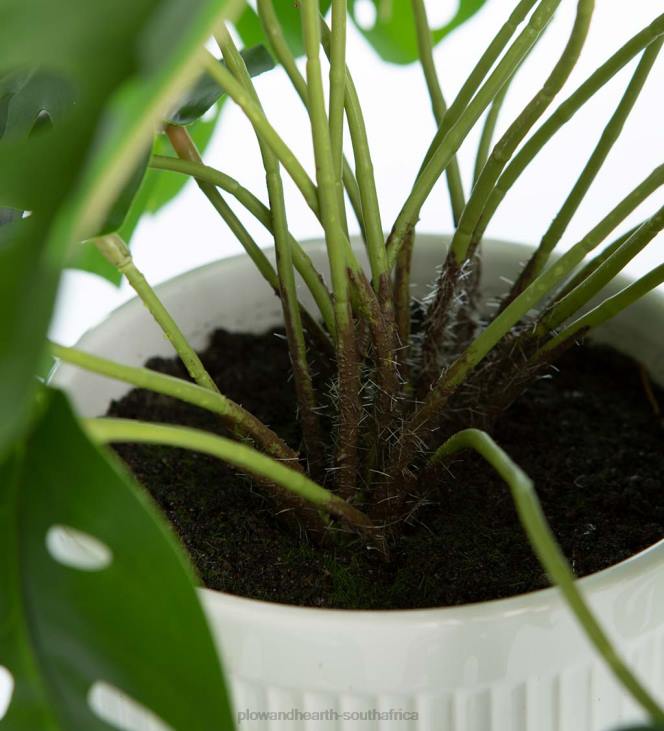 Houseware Plow & Hearth Faux Real Monstera Artificial Potted Plant NFLB2404