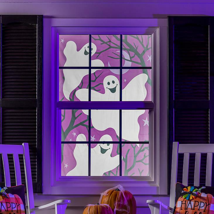 Houseware Plow & Hearth Ghost Trio Window Shade NFLB2370