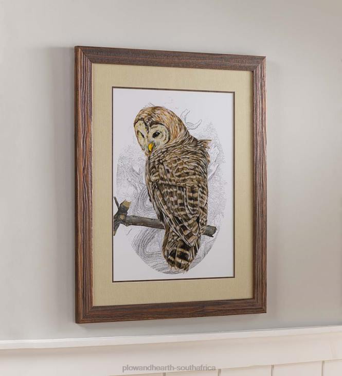 Houseware Plow & Hearth Barred Owl II Framed Wall Art Painting NFLB2514