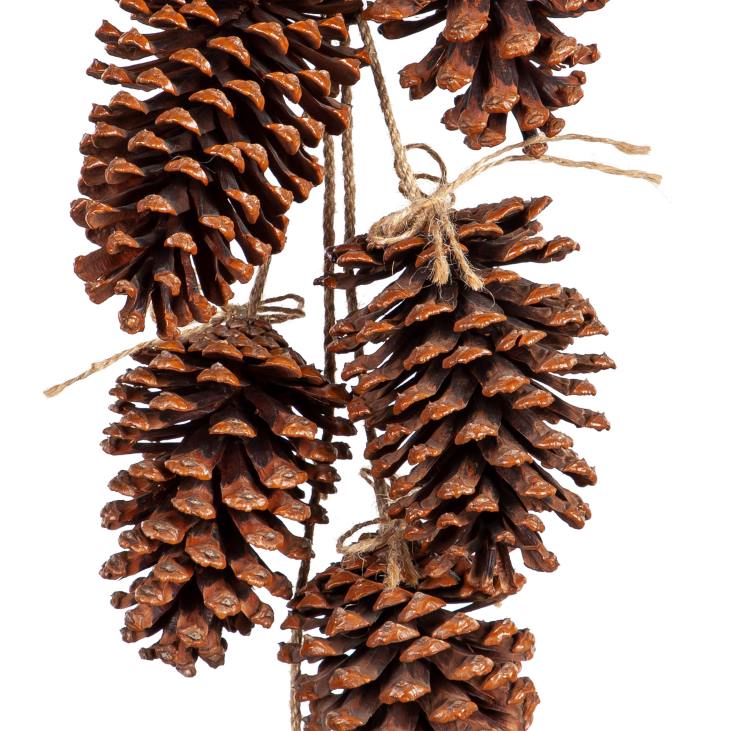 Houseware Plow & Hearth Christmas Pine Cone Door Hanger NFLB1722