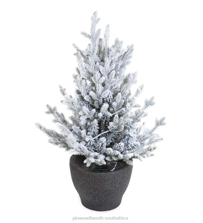 Houseware Plow & Hearth Indoor/Outdoor Flocked Roanoke Spruce Potted Tree with Warm White LEDs NFLB1674