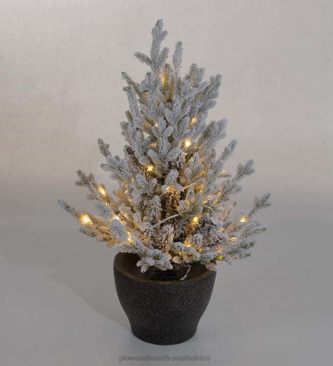 Houseware Plow & Hearth Indoor/Outdoor Flocked Roanoke Spruce Potted Tree with Warm White LEDs NFLB1674
