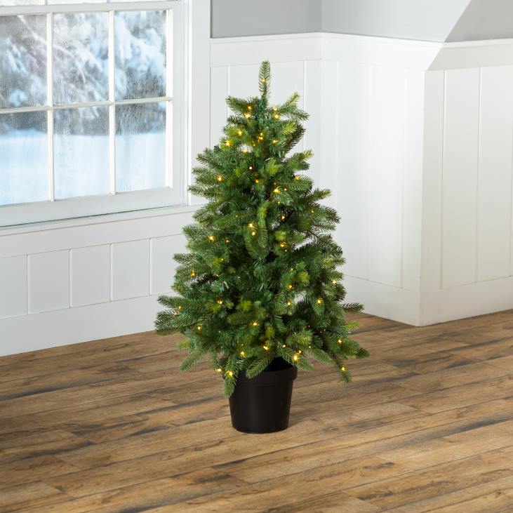 Houseware Plow & Hearth Indoor/Outdoor Keswick Potted Pine Tree with Warm White LEDs NFLB1671