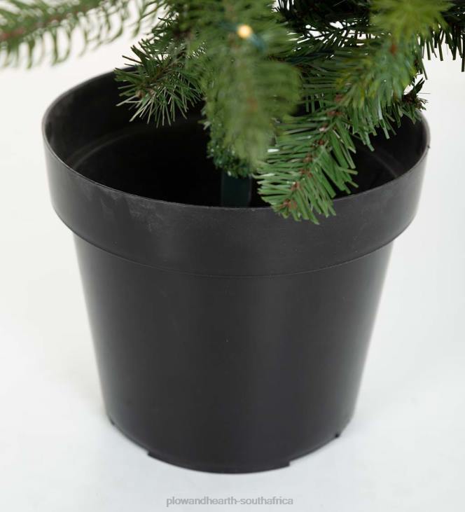 Houseware Plow & Hearth Indoor/Outdoor Keswick Potted Pine Tree with Warm White LEDs NFLB1671