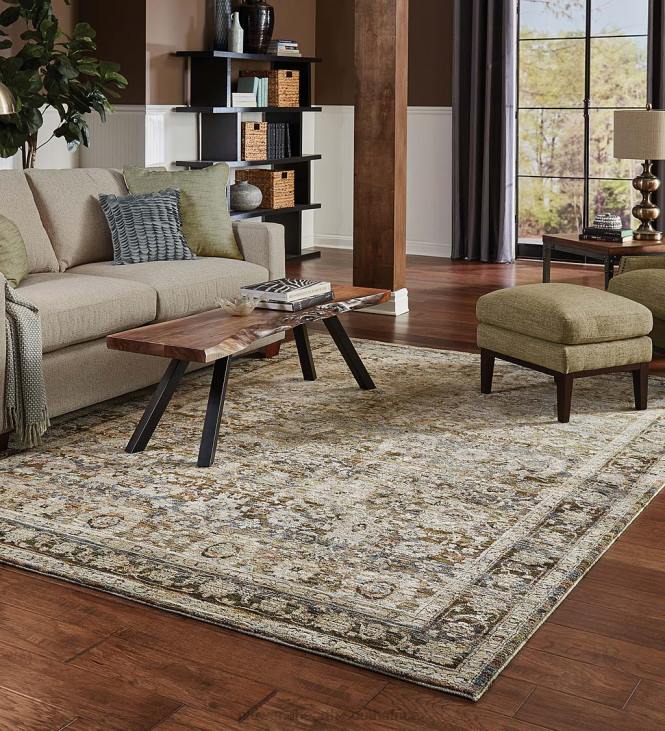 Rugs & Mats Plow & Hearth Ashland Evening Synthetic Blend Indoor Border Rug NFLB1857