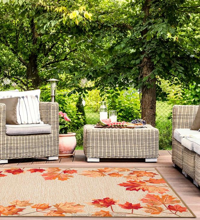 Rugs & Mats Plow & Hearth Indoor/Outdoor Falling Leaves Border Rug NFLB1790