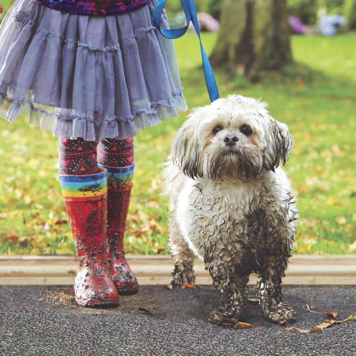 Rugs & Mats Plow & Hearth My Mat Dirt Trapping Mud Rug, 19x 29- Coffee NFLB3167