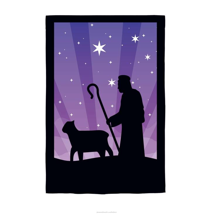 Seasonal & Gifts Plow & Hearth Reversible Nativity Lustre House Flag NFLB530