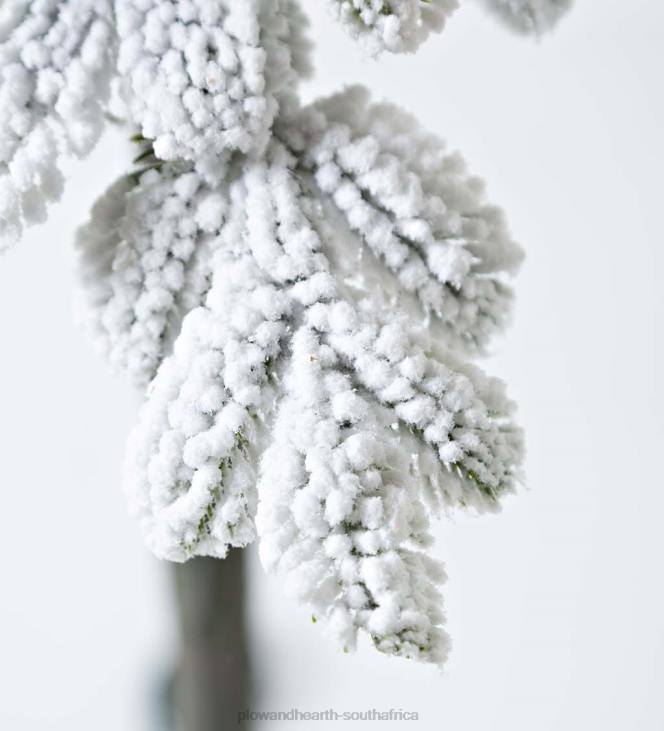 Seasonal & Gifts Plow & Hearth 6' Monte Rosa Flocked Alpine Fir Christmas Tree with 150 Warm White LEDs NFLB3232