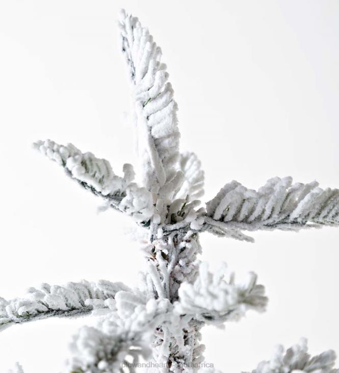 Seasonal & Gifts Plow & Hearth 6' Monte Rosa Flocked Alpine Fir Christmas Tree with 150 Warm White LEDs NFLB3232