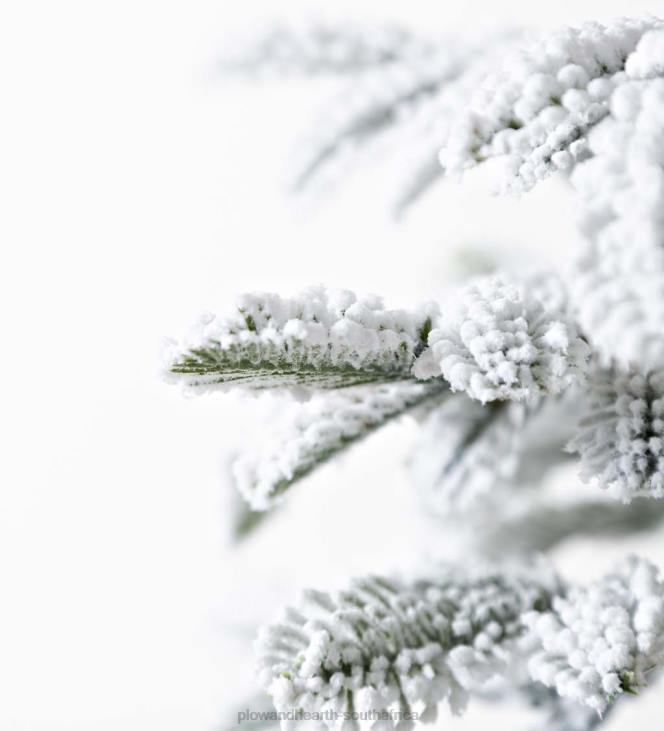 Seasonal & Gifts Plow & Hearth 6' Monte Rosa Flocked Alpine Fir Christmas Tree with 150 Warm White LEDs NFLB3232