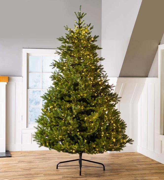 Seasonal & Gifts Plow & Hearth 9' Arlberg Fir Christmas Tree NFLB3177