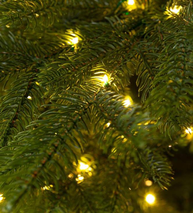 Seasonal & Gifts Plow & Hearth 9' Arlberg Fir Christmas Tree NFLB3177