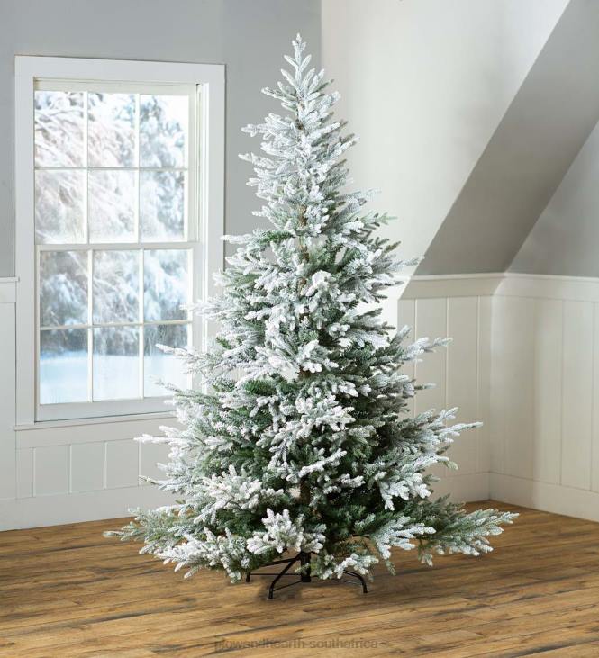 Seasonal & Gifts Plow & Hearth Flocked Roanoke Spruce Christmas Tree NFLB2289