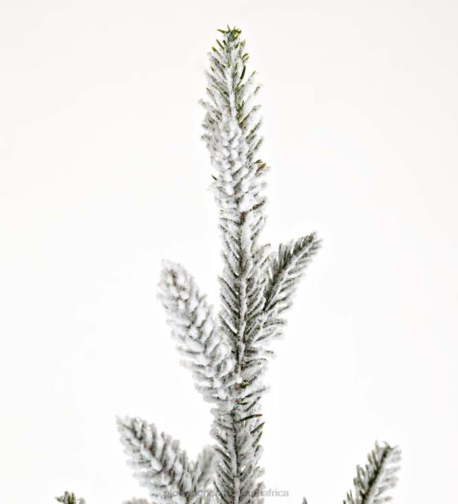 Seasonal & Gifts Plow & Hearth Flocked Roanoke Spruce Christmas Tree NFLB2289