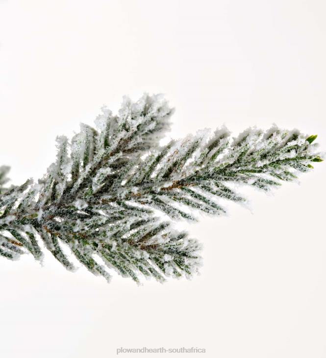 Seasonal & Gifts Plow & Hearth Flocked Roanoke Spruce Christmas Tree NFLB2289