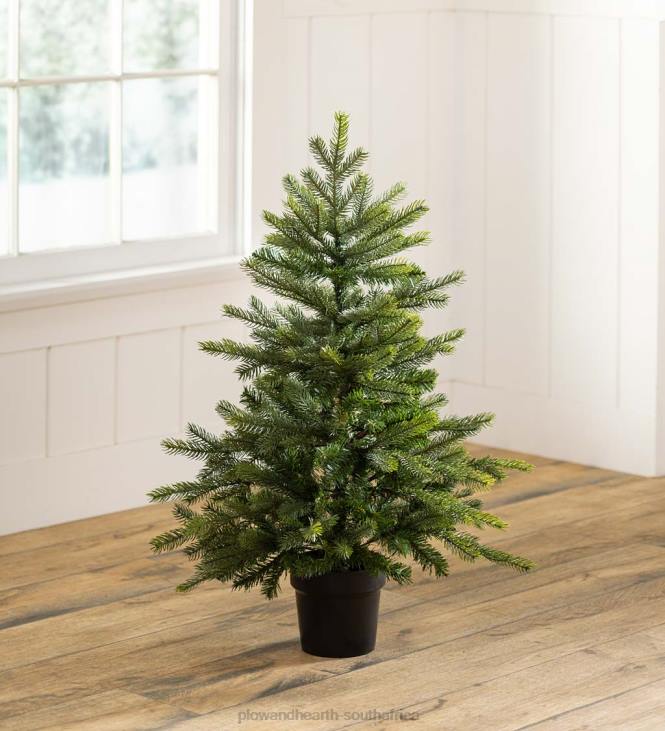 Seasonal & Gifts Plow & Hearth Grandis Fir Potted Christmas Tree NFLB2140